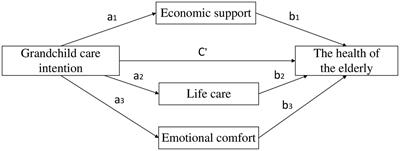 Does grandchild care intention, intergenerational support have an impact on the health of older adults in China? A quantitative study of CFPS data